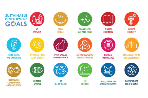 UN SDG's